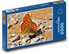 Motýľ - hmyz, príroda Puzzle 2000 dielikov - 90 x 60 cm