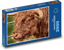 Býk - rohy, zviera Puzzle 2000 dielikov - 90 x 60 cm