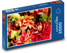 Dahlias - kvety, záhrada Puzzle 2000 dielikov - 90 x 60 cm