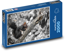 Veverička - hlodavec, zviera Puzzle 2000 dielikov - 90 x 60 cm
