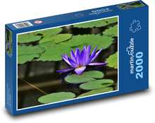 Lekno - rybník, voda Puzzle 2000 dielikov - 90 x 60 cm