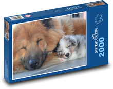 Śpiące psy - suka i szczeniak Puzzle 2000 elementów - 90x60 cm