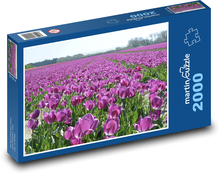 Fialové tulipány - květiny Puzzle 2000 dílků - 90 x 60 cm