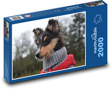 Shetland Sheepdog - Hund, Tier Puzzle 2000 Teile - 90 x 60 cm