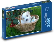 Štěně v košíku Puzzle 2000 dílků - 90 x 60 cm
