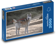 Pes - husky, zima Puzzle 2000 dielikov - 90 x 60 cm