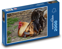 Kohout - farma, zvíře Puzzle 2000 dílků - 90 x 60 cm