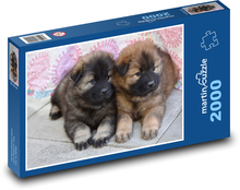 Šteňatá - psy, maznáčikovia Puzzle 2000 dielikov - 90 x 60 cm