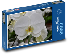 Bílá orchidej - květina, květ Puzzle 2000 dílků - 90 x 60 cm