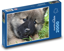 Hund - Eurasier, Welpe Puzzle 2000 Teile - 90 x 60 cm