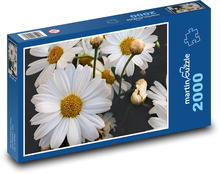 Flower - spring, garden Puzzle 2000 pieces - 90 x 60 cm