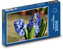 Hyazinthe - blaue Blume, Garten Puzzle 2000 Teile - 90 x 60 cm