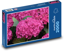 Kwiat - hortensja, różowy kwiat Puzzle 2000 elementów - 90x60 cm