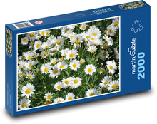 Gänseblümchen - Wiese, weiße Blüten Puzzle 2000 Teile - 90 x 60 cm