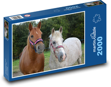 Kobyla - kůň, zvířata Puzzle 2000 dílků - 90 x 60 cm