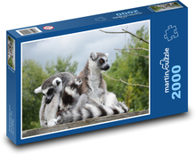 Lemury - zwierzęta, małpy Puzzle 2000 elementów - 90x60 cm