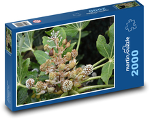 Plants - green flowers, garden Puzzle 2000 pieces - 90 x 60 cm