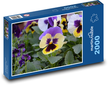 Maceška - květina, zahrada Puzzle 2000 dílků - 90 x 60 cm