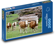 Cow - cattle, dairy cows Puzzle 2000 pieces - 90 x 60 cm
