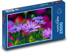 Kopretina - flower, garden Puzzle 2000 pieces - 90 x 60 cm