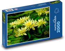 Lekno - žltý kvet, rybník Puzzle 2000 dielikov - 90 x 60 cm