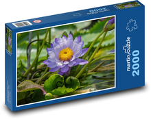Lotosový květ - květina, rybník Puzzle 2000 dílků - 90 x 60 cm