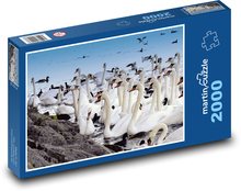 Labute - zviera, rybník Puzzle 2000 dielikov - 90 x 60 cm