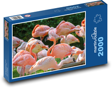 Plameniak - vtáky, zoo Puzzle 2000 dielikov - 90 x 60 cm