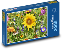 Slnečnica - kvety, záhon Puzzle 2000 dielikov - 90 x 60 cm