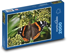 Butterfly - insects, butterfly wings Puzzle 2000 pieces - 90 x 60 cm