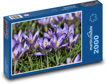 Krokus - Blume, Garten Puzzle 2000 Teile - 90 x 60 cm