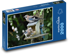 Jays - Vögel, Feeder Puzzle 2000 Teile - 90 x 60 cm