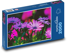 Kopretina - fialový květ, zahrada Puzzle 2000 dílků - 90 x 60 cm
