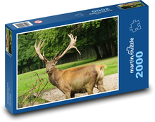 Jeleń - zwierzę, las Puzzle 2000 elementów - 90x60 cm