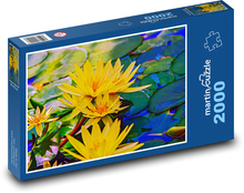 Water lily - yellow flower, pond Puzzle 2000 pieces - 90 x 60 cm