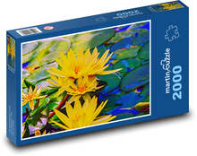 Leknín - žlutý květ, rybník Puzzle 2000 - 90x60 cm