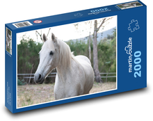 Australian Pony - White Horse Puzzle 2000 pieces - 90 x 60 cm