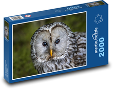 Sova - vták, zviera Puzzle 2000 dielikov - 90 x 60 cm