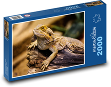 Jaszczurka - gad, zwierzę Puzzle 2000 elementów - 90x60 cm