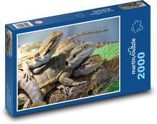 Jašterica - agama, plaz Puzzle 2000 dielikov - 90 x 60 cm