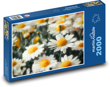 Stokrotka - płatki, ogród Puzzle 2000 elementów - 90x60 cm