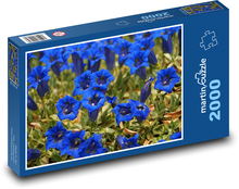 Horec - modrý kvet, kvetina Puzzle 2000 dielikov - 90 x 60 cm