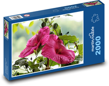 Hibiskus - różowy kwiat, ogród Puzzle 2000 elementów - 90x60 cm