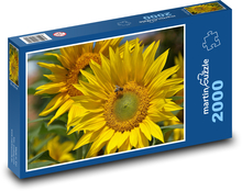 Slunečnice - žlutý květ, léto Puzzle 2000 dílků - 90 x 60 cm