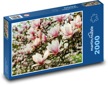 Magnolia - flower, bush Puzzle 2000 pieces - 90 x 60 cm