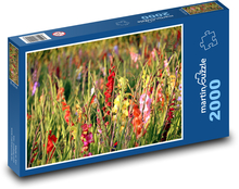 Mečíky - květiny, zahrada Puzzle 2000 dílků - 90 x 60 cm