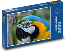 Papagei - Ara, Vogel Puzzle 2000 Teile - 90 x 60 cm