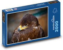 Eagle - bird of prey Puzzle 2000 pieces - 90 x 60 cm