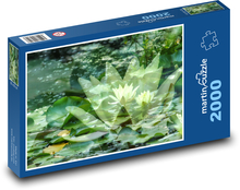 Lekníny - vodní rostliny, jezero Puzzle 2000 dílků - 90 x 60 cm