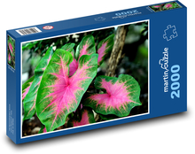 User - plant, flower Puzzle 2000 pieces - 90 x 60 cm